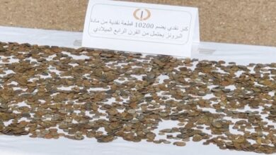 الجزائر.. حجز أكثر من 10 آلاف قطعة نقدية رومانية في عملية أمنية بعين الدفلى