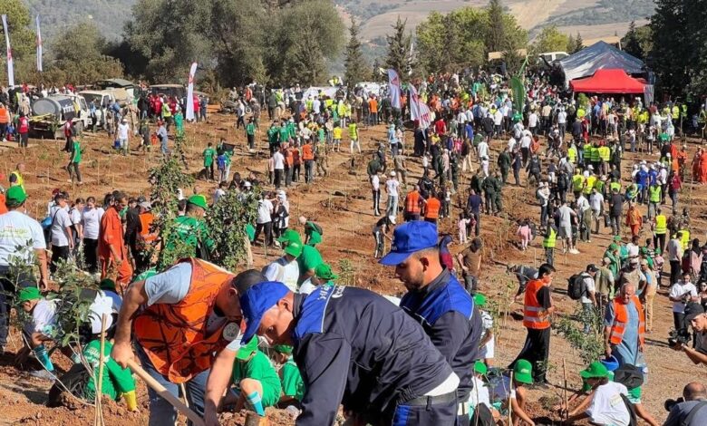 الجزائر تطلق حملة وطنية لغرس خمسة ملايين شجرة في يوم واحد
