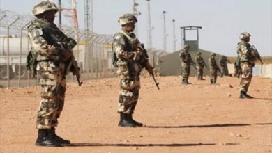 الجزائر تضبط شحنة أسلحة مهربة من ليبيا في عملية للجيش الوطني الشعبي