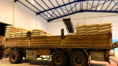 ليبيا: إعادة تشغيل مصنع الدقيق في سرت بعد توقف دام أكثر من 15 عاماً