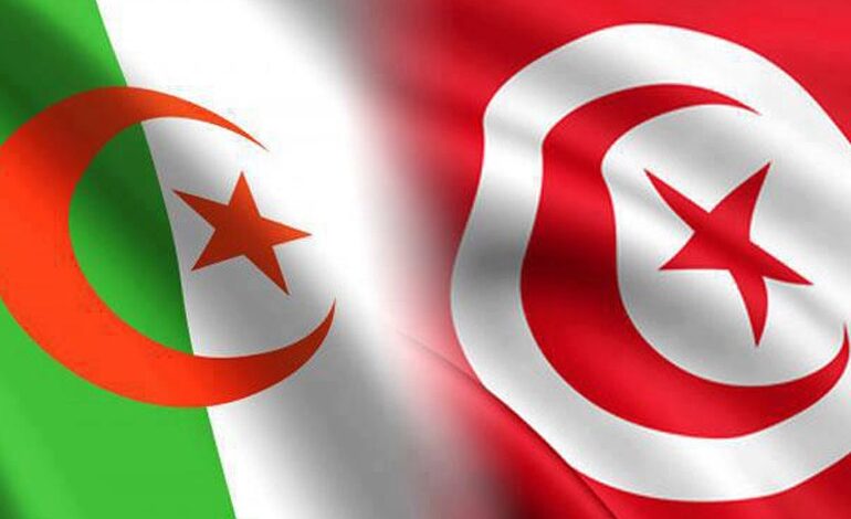 إطلاق خطي نقل بري دوليين جديدين بين تونس والجزائر ابتداءً من 12 مارس