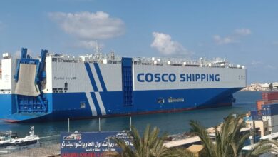 ميناء الإسكندرية يستقبل السفينة العملاقة WEN JING KOU العاملة بالغاز الطبيعي المسال