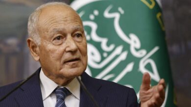 أبو الغيط: الهجمات الإيرانية على دول خليجية خطأ استراتيجي يهدد الاستقرار الإقليمي