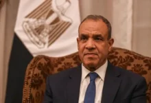‏وزير خارجية مصر يؤكد ضرورة تشكيل القوة العربية المشتركة لضمان صون الأمن القومي العربي