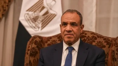 ‏وزير خارجية مصر يؤكد ضرورة تشكيل القوة العربية المشتركة لضمان صون الأمن القومي العربي