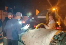 الجزائر.. استنفار في البليدة بعد إصابة 60 طفلاً بحشرة غريبة في موزاية