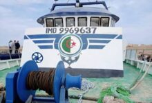 موريتانيا تمنح إمتيازات ضريبية للجزائر لاصطياد 20 ألف طن من الأسماك في الأطلسي