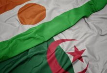 الجزائر تبحث تزويد النيجر بالأدوية وتعزيز التعاون الصيدلاني