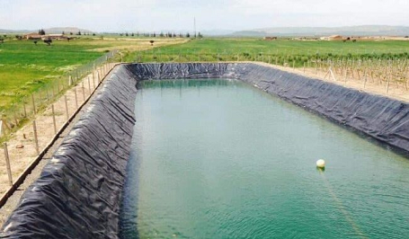 مأساة في سطيف الجزائرية.. وفـ.ـاة طفلين بعد سقوطهما في حوض مائي للسقي